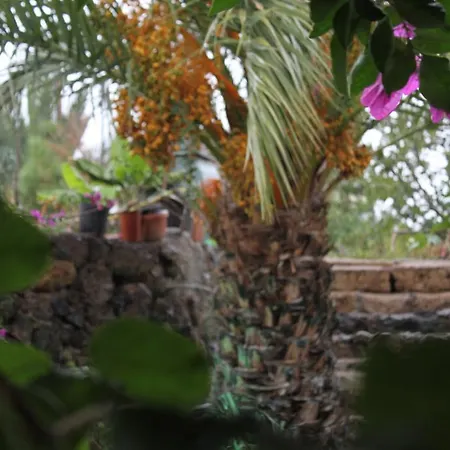 Casa Del Maestro * Candelaria