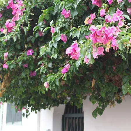 Casa Del Maestro