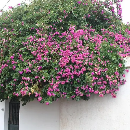 Casa Del Maestro Holiday home
